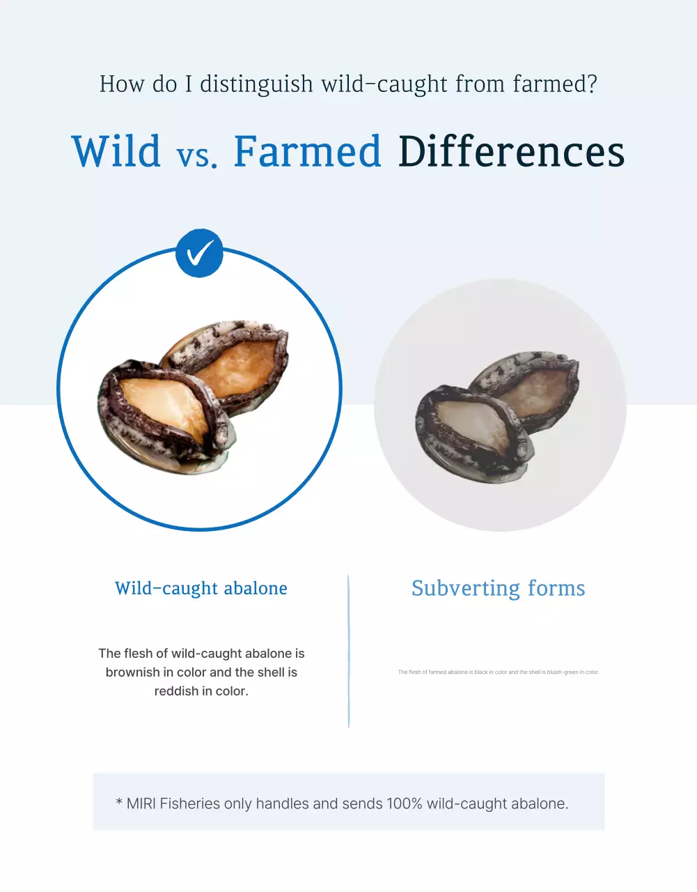 Khuyến mãi bán hàng tại trạm kiểm soát bào ngư hải sản truyền thống màu xanh và hải quân