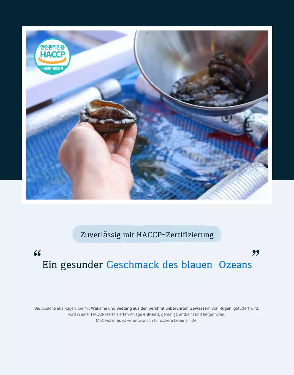 Förderung des Verkaufs der traditionellen blauen und marineblauen Meeresfrüchte Abalone Checkpoints