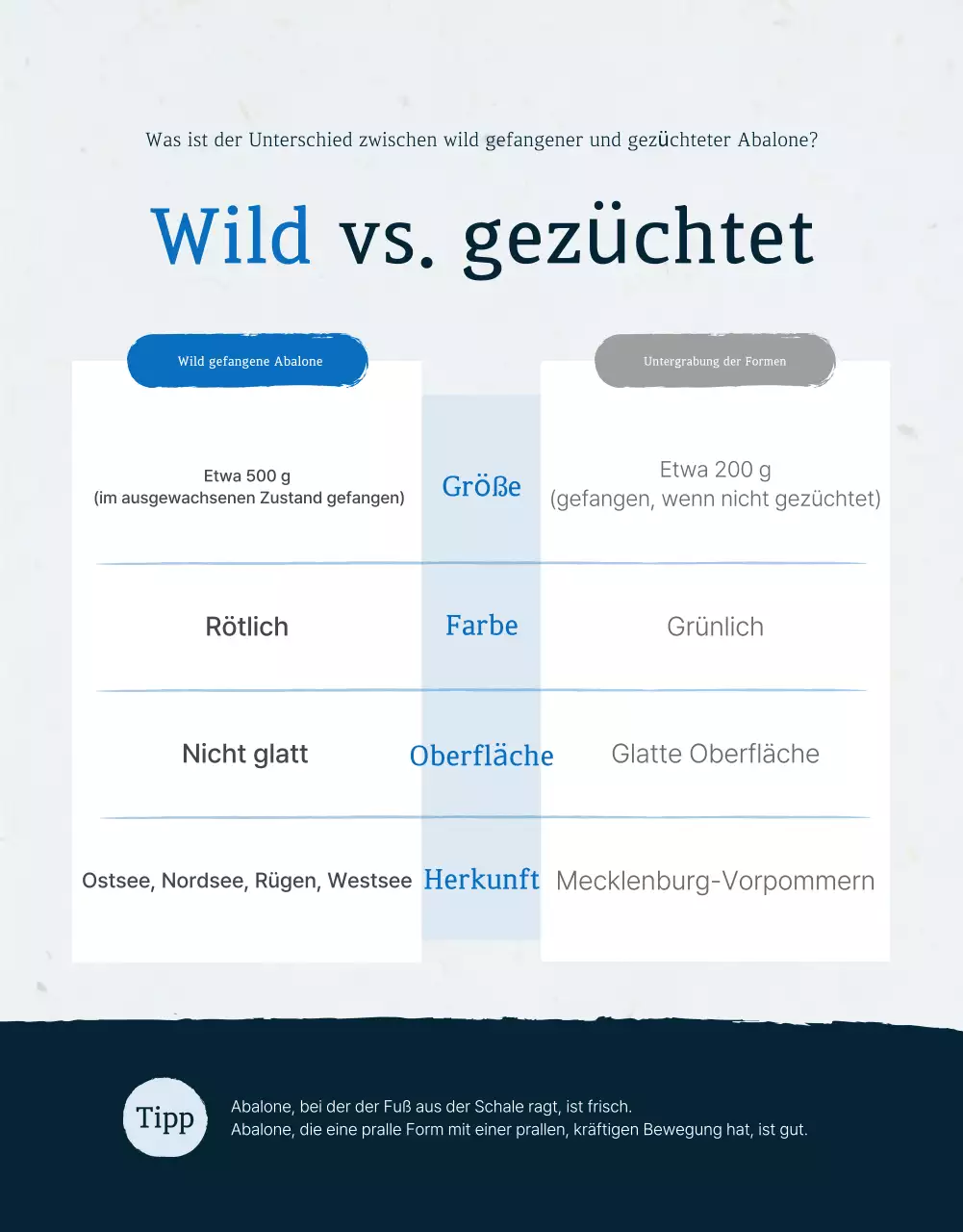Förderung des Verkaufs der traditionellen blauen und marineblauen Meeresfrüchte Abalone Checkpoints