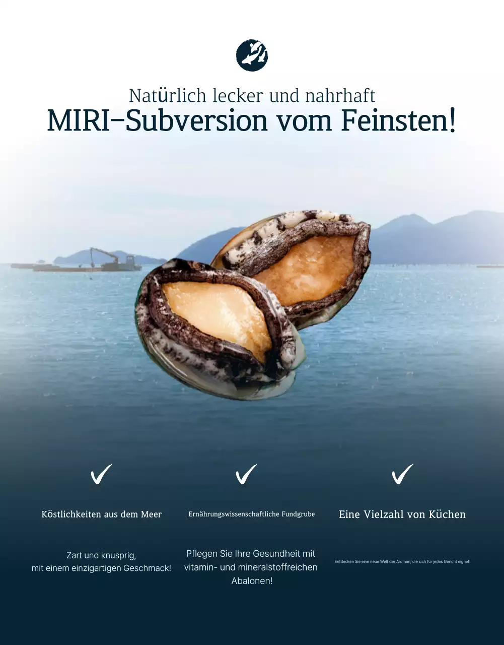 Förderung des Verkaufs der traditionellen blauen und marineblauen Meeresfrüchte Abalone Checkpoints