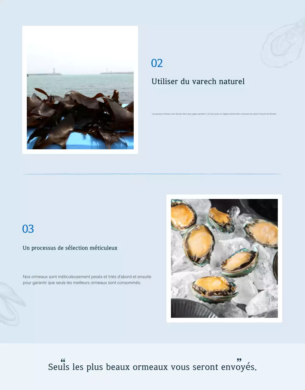 Promouvoir la vente de fruits de mer traditionnels bleus et bleus marine aux points de contrôle des ormeaux.