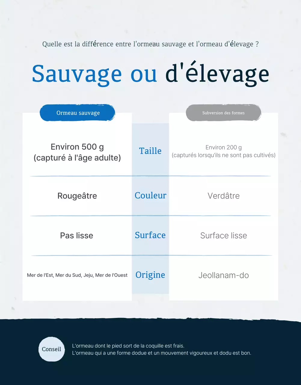 Promouvoir la vente de fruits de mer traditionnels bleus et bleus marine aux points de contrôle des ormeaux.