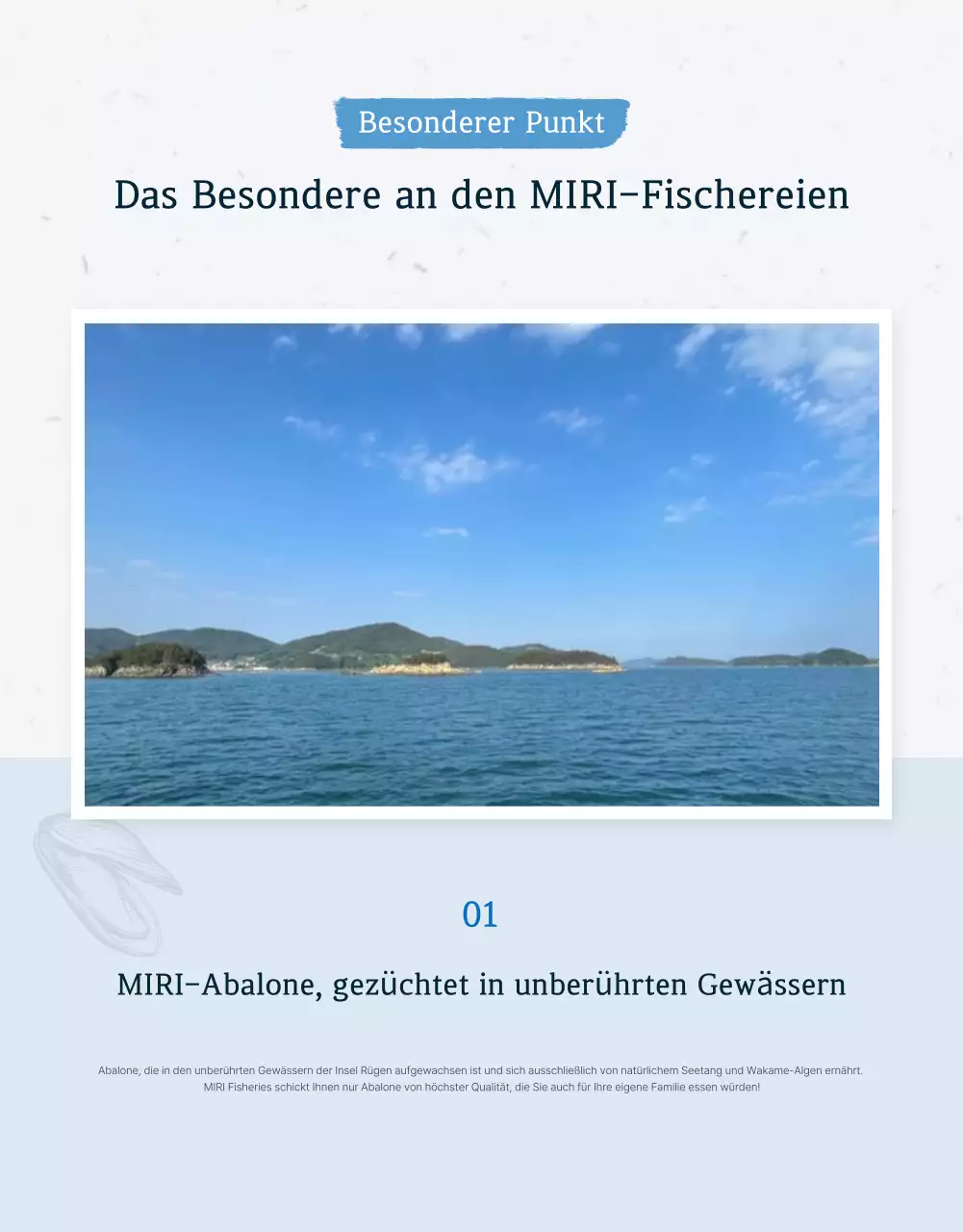 Förderung des Verkaufs der traditionellen blauen und marineblauen Meeresfrüchte Abalone Checkpoints