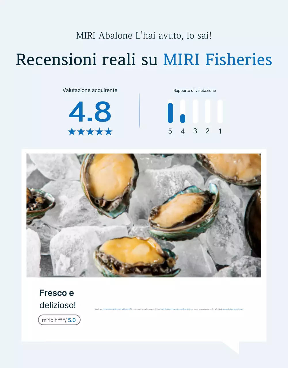 Tradizionale rassegna di abaloni di mare blu e blu marino e promozione di eventi