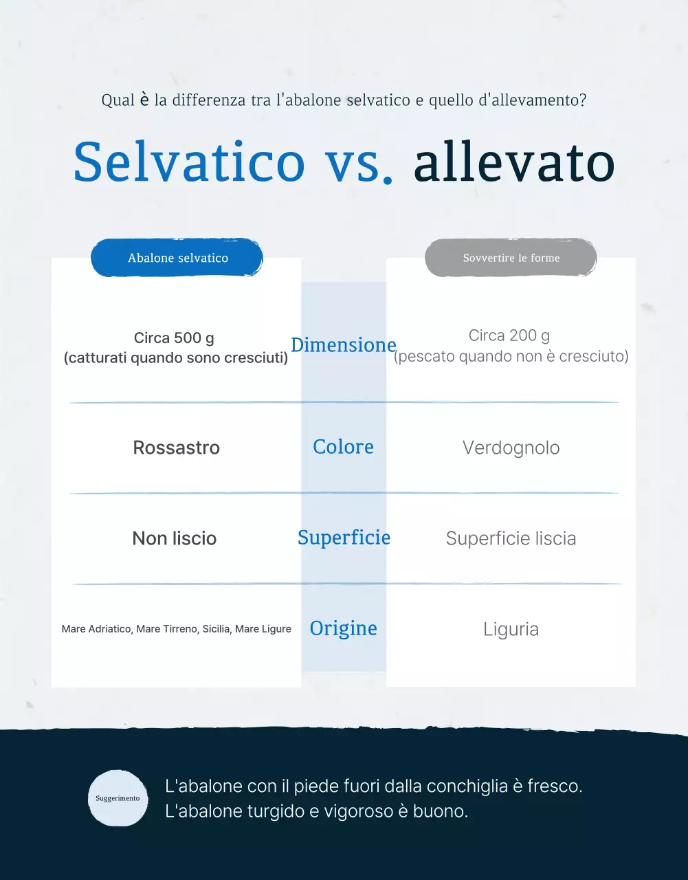 Promuovere la vendita dei tradizionali punti di controllo dell'abalone di mare blu e blu marino