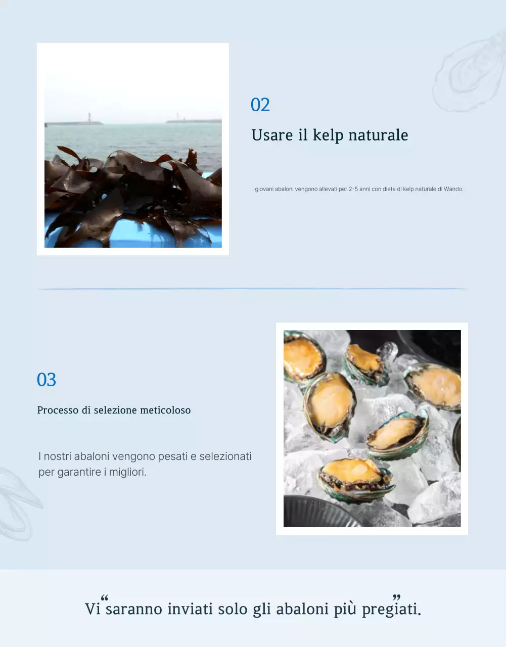 Promuovere la vendita dei tradizionali punti di controllo dell'abalone di mare blu e blu marino