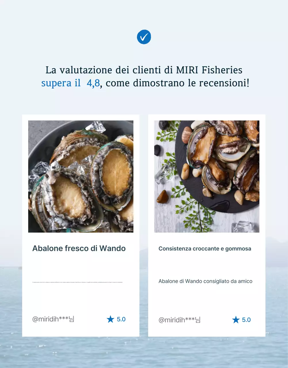 Tradizionale rassegna di abaloni di mare blu e blu marino e promozione di eventi