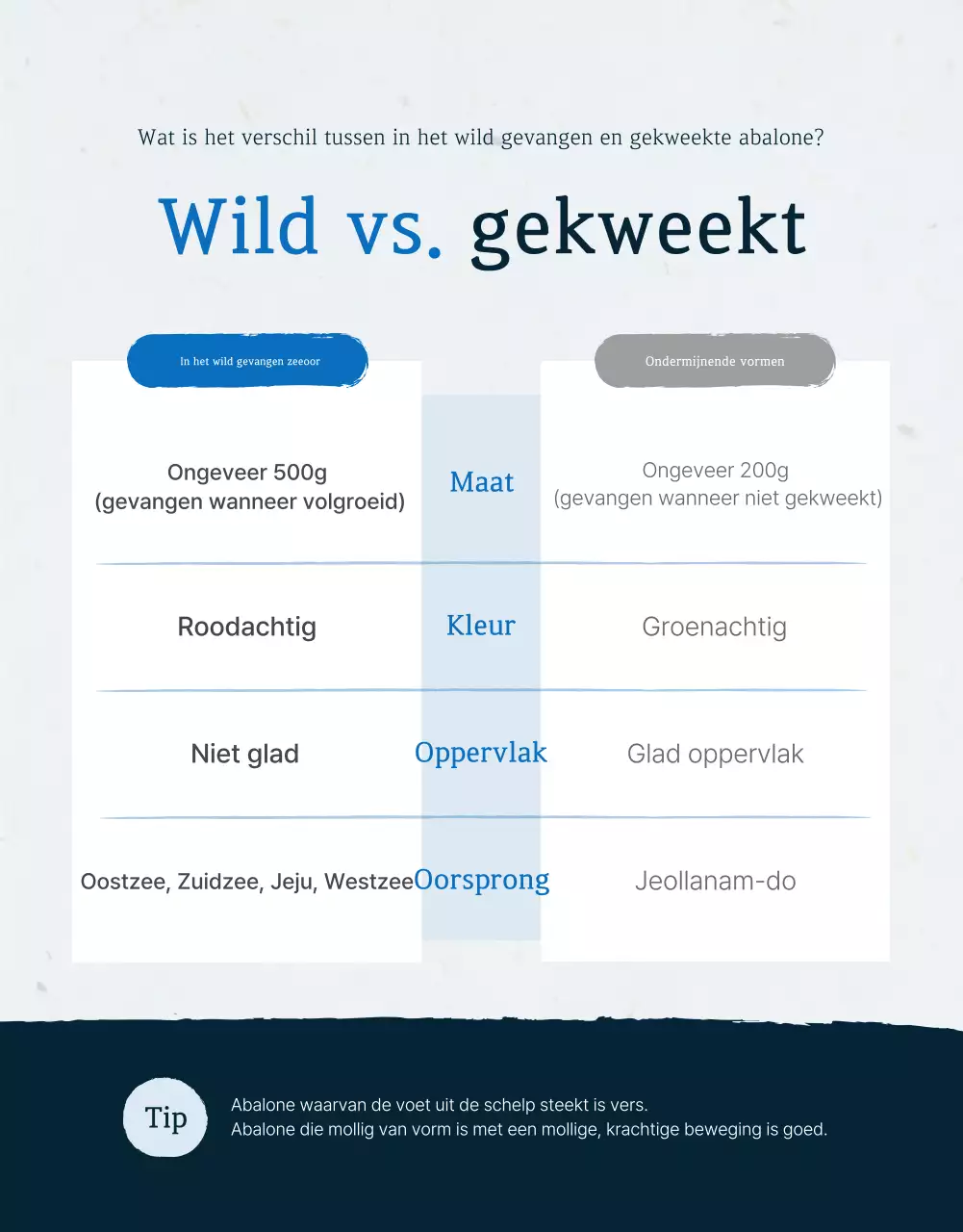 De verkoop van traditionele blauwe en marineblauwe zeevruchten met abalone checkpoints bevorderen