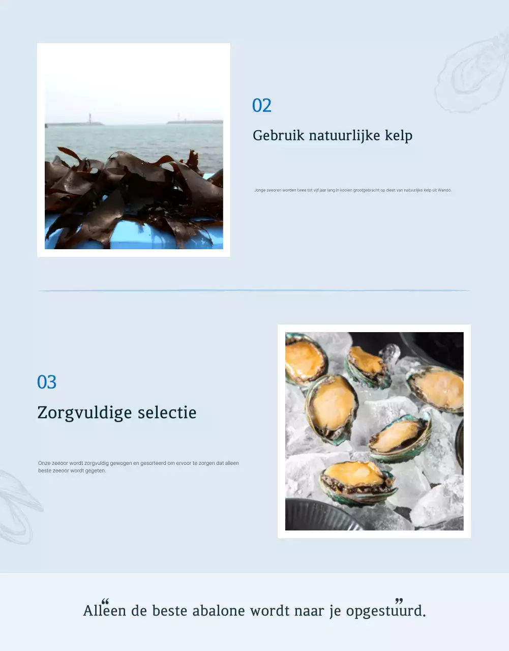 De verkoop van traditionele blauwe en marineblauwe zeevruchten met abalone checkpoints bevorderen