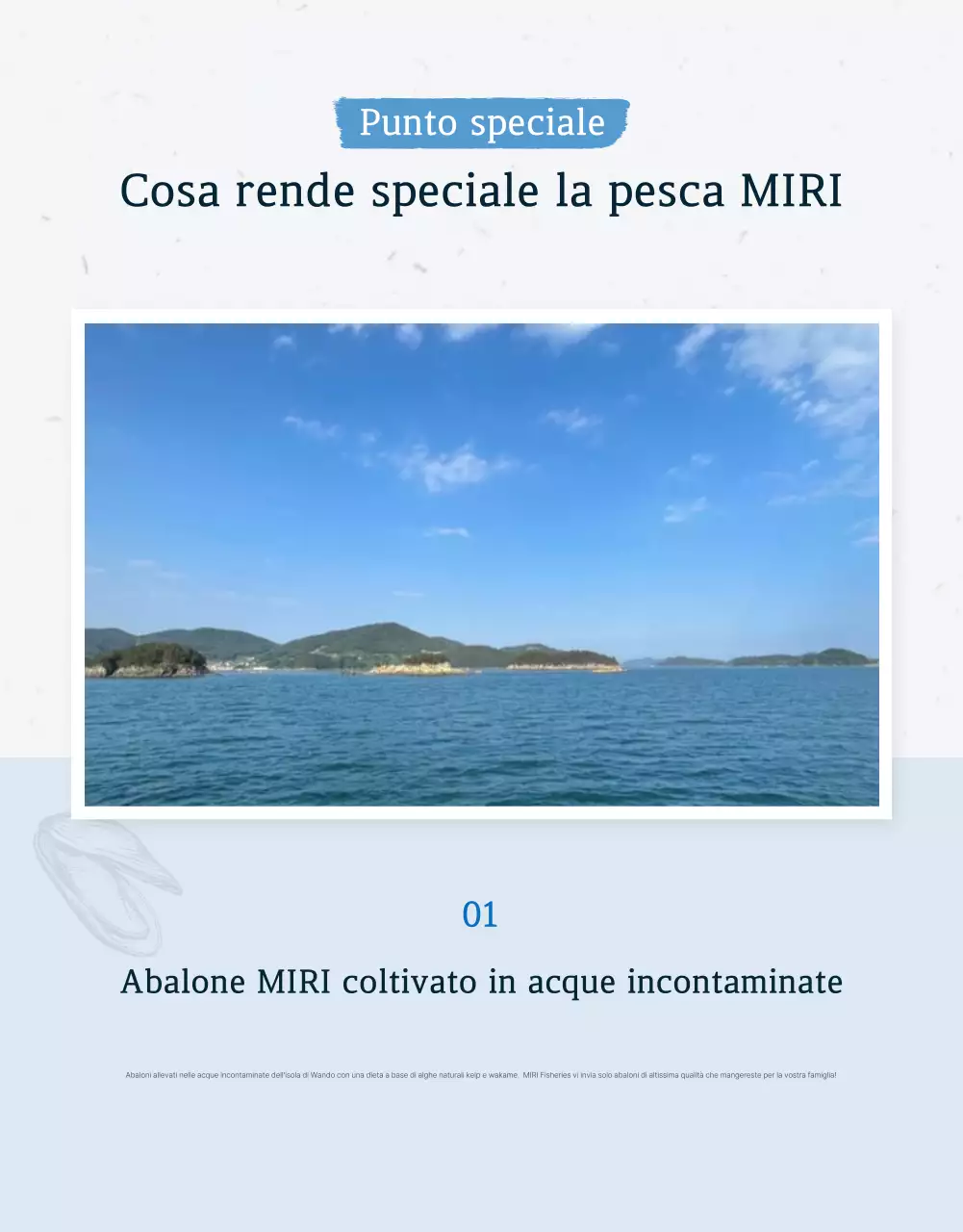 Promuovere la vendita dei tradizionali punti di controllo dell'abalone di mare blu e blu marino