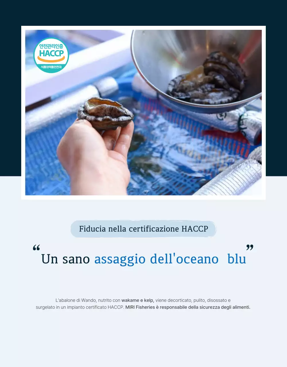 Promuovere la vendita dei tradizionali punti di controllo dell'abalone di mare blu e blu marino