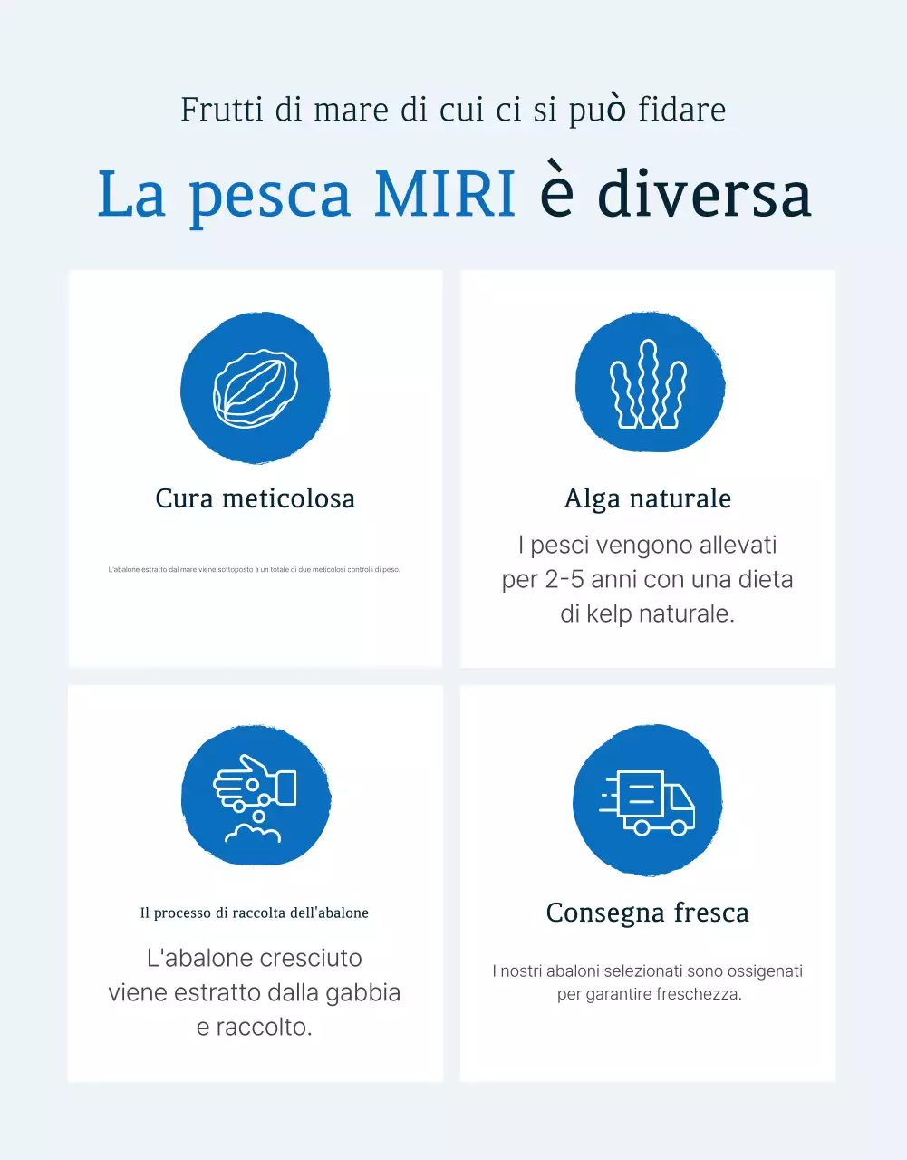 Promuovere la vendita dei tradizionali punti di controllo dell'abalone di mare blu e blu marino