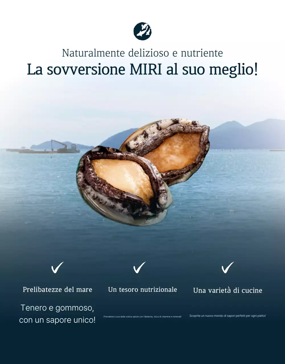 Promuovere la vendita dei tradizionali punti di controllo dell'abalone di mare blu e blu marino