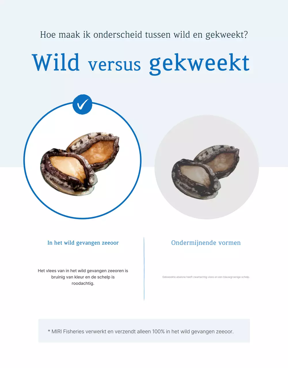 De verkoop van traditionele blauwe en marineblauwe zeevruchten met abalone checkpoints bevorderen