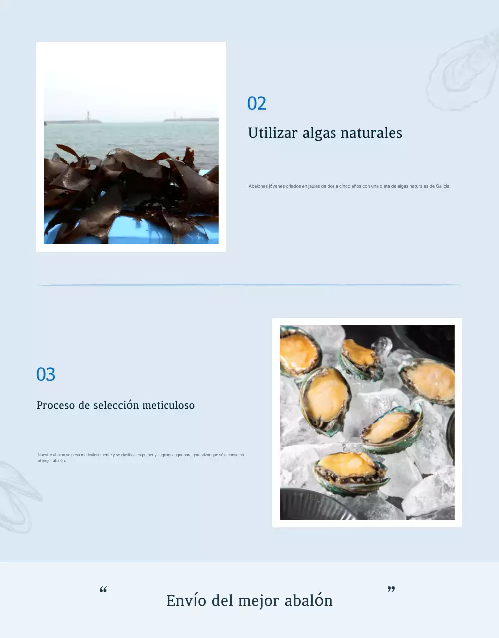 Promover la venta de los tradicionales puestos de control de abalón marino azul y azul marino