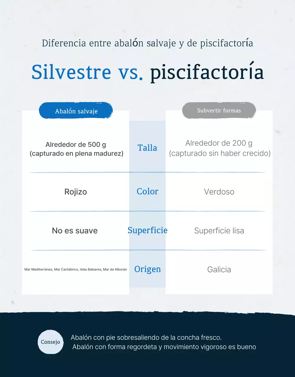 Promover la venta de los tradicionales puestos de control de abalón marino azul y azul marino