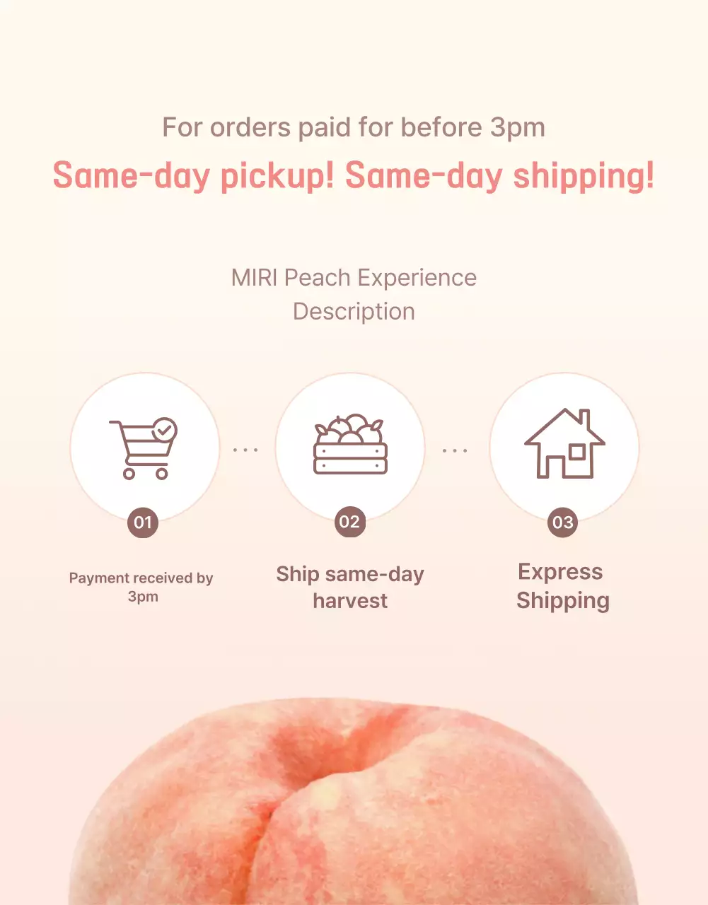 Promosikan buah persik segar berwarna kuning dan merah muda dengan informasi dan tindakan pencegahan