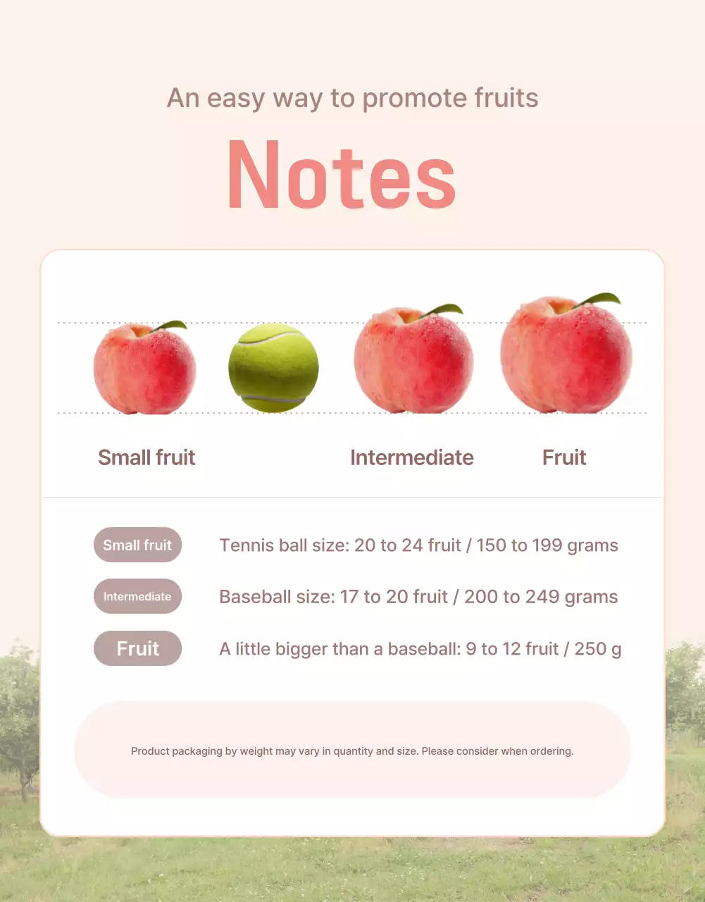 Promote yellow and pink, clean, fresh peaches with instructions and caveats