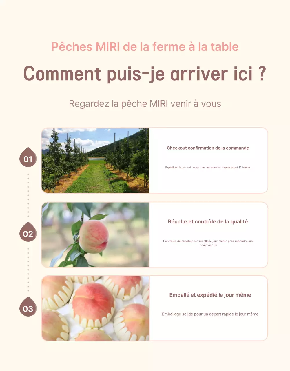 Promouvoir la pêche fraîche jaune et rose avec des informations et des précautions