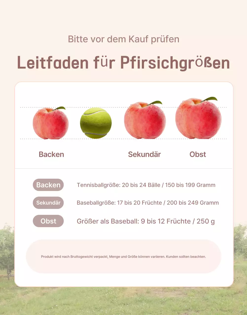 Werbung für den gelben und rosafarbenen frischen Pfirsich mit Informationen und Vorsichtsmaßnahmen