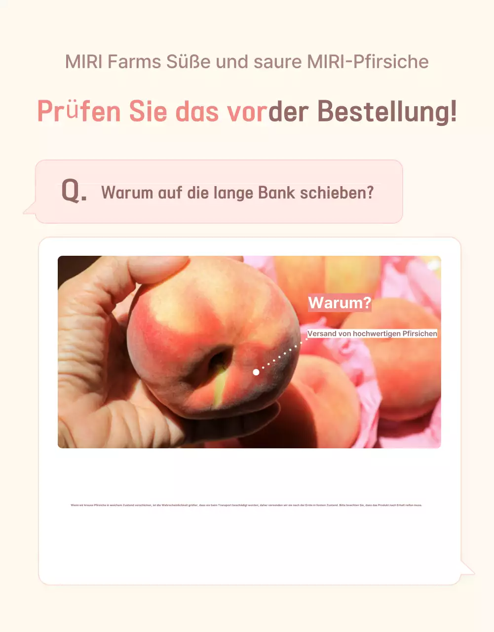 Werbung für den gelben und rosafarbenen frischen Pfirsich mit Informationen und Vorsichtsmaßnahmen