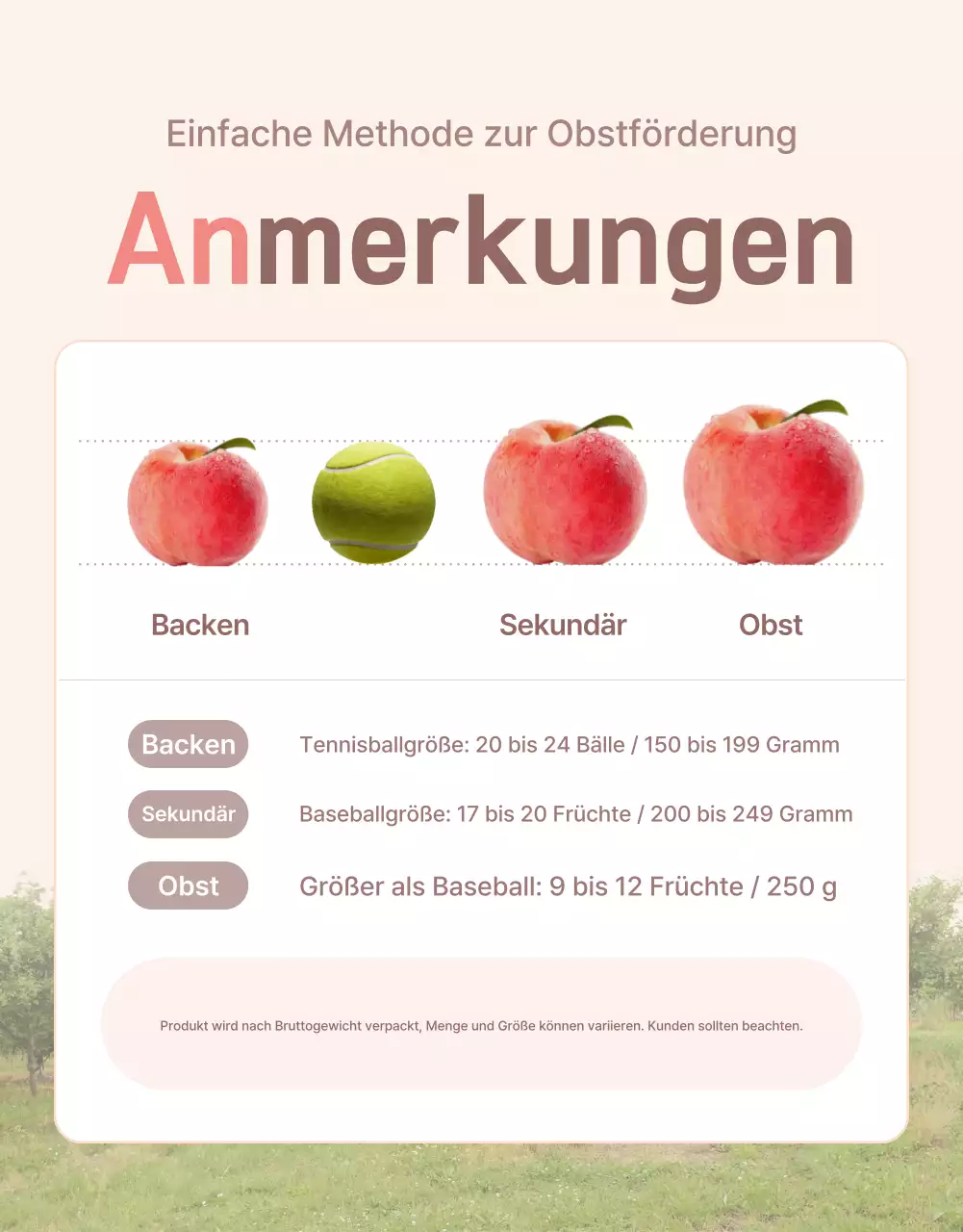 Werbung für den gelben und rosafarbenen frischen Pfirsich mit Informationen und Vorsichtsmaßnahmen