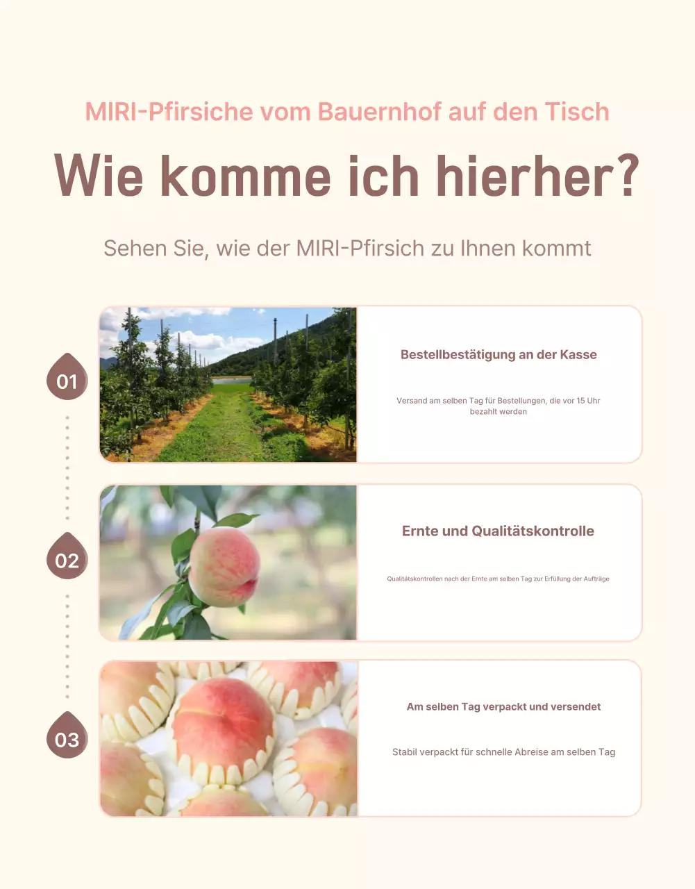 Werbung für den gelben und rosafarbenen frischen Pfirsich mit Informationen und Vorsichtsmaßnahmen