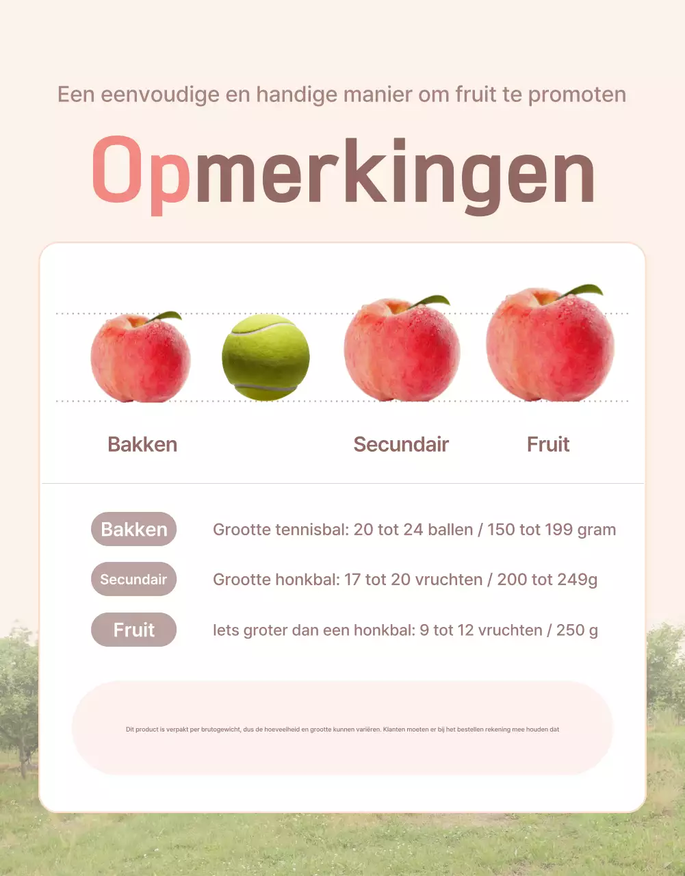 Promoot de gele en roze verse perzik met informatie en voorzorgsmaatregelen