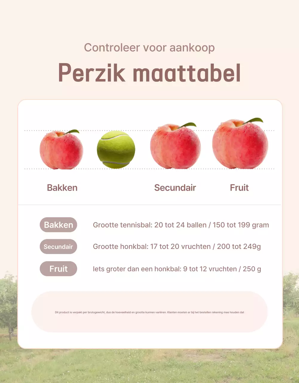 Promoot de gele en roze verse perzik met informatie en voorzorgsmaatregelen