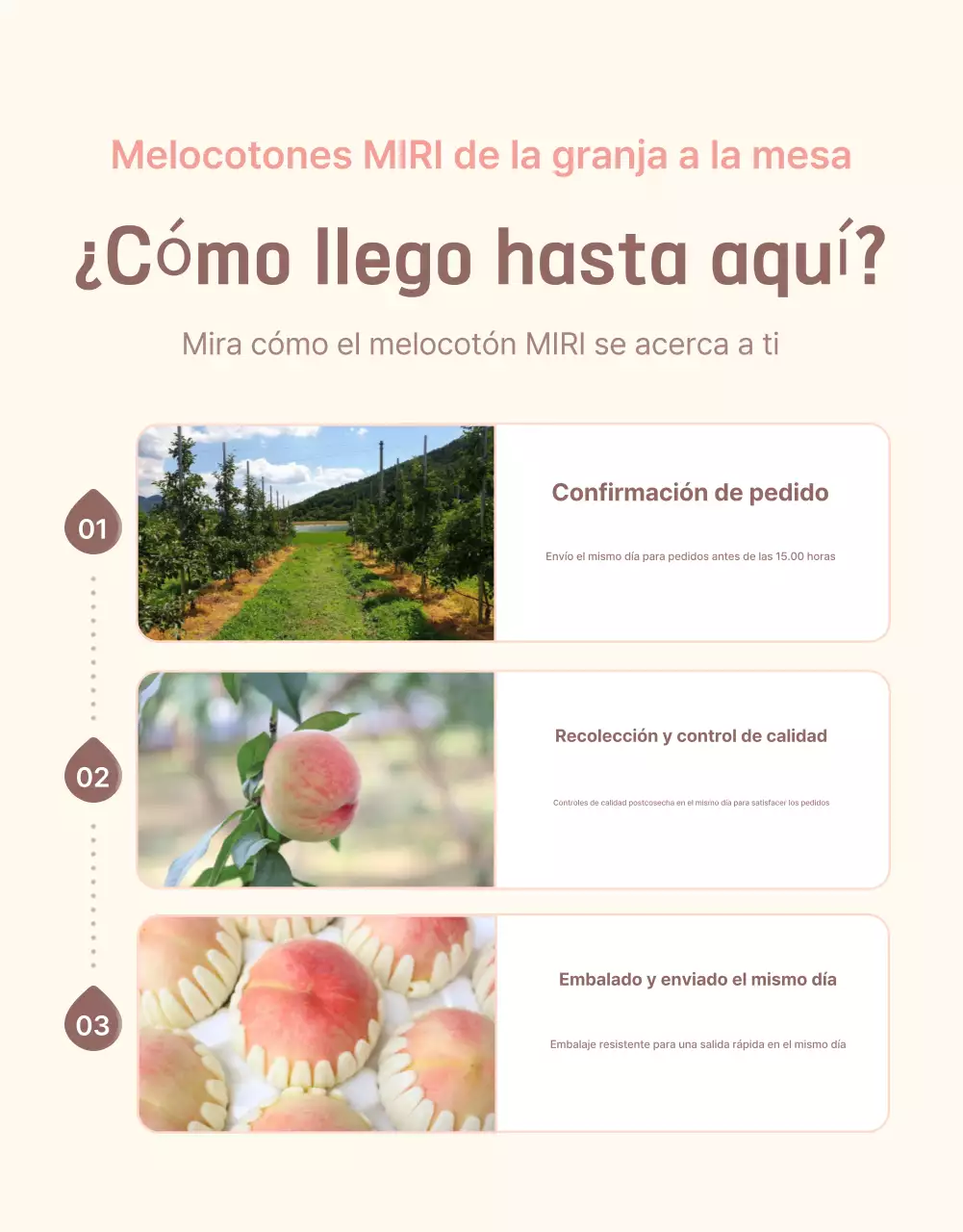 Promocionar el melocotón fresco amarillo y rosa con información y precauciones