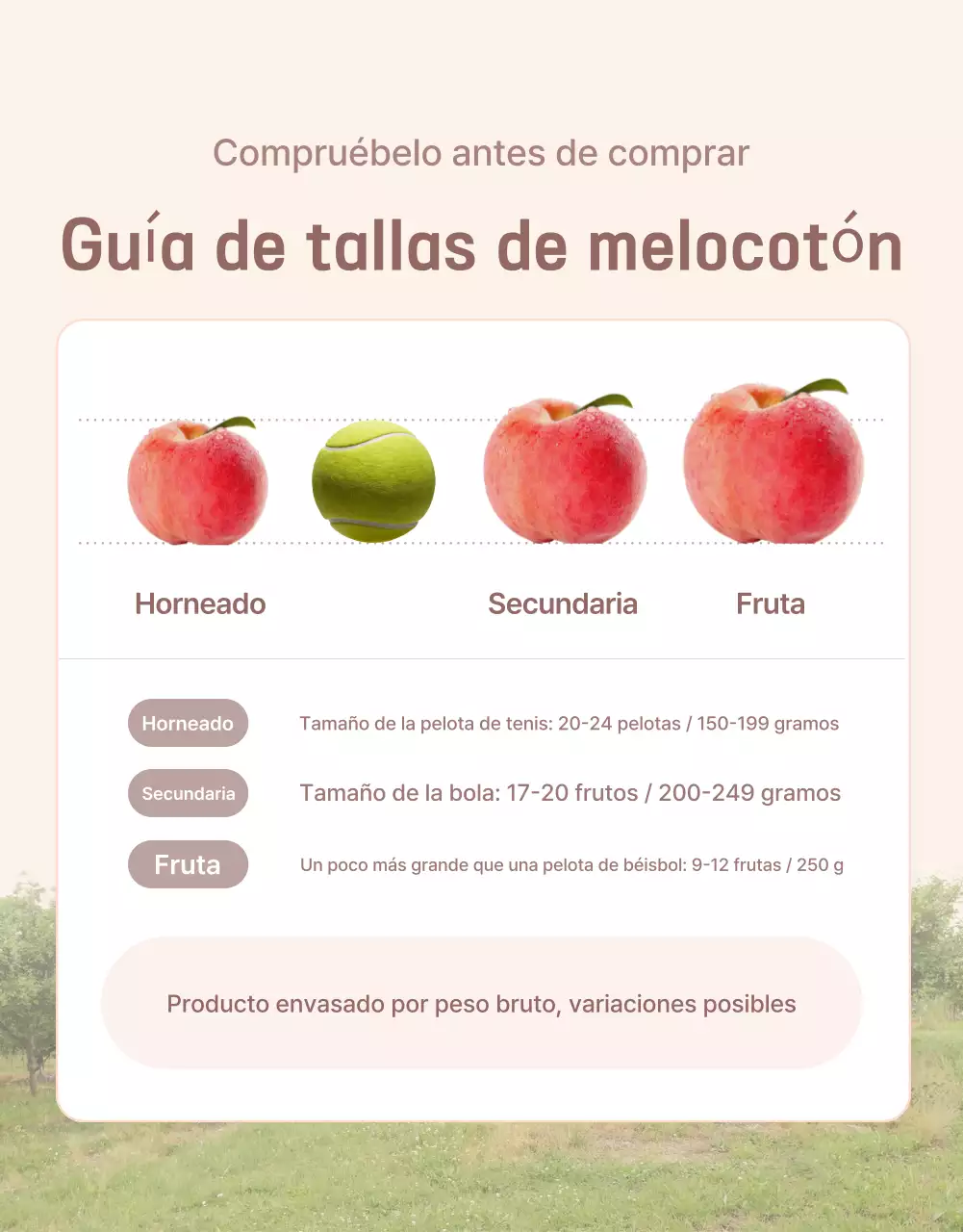 Promocionar el melocotón fresco amarillo y rosa con información y precauciones