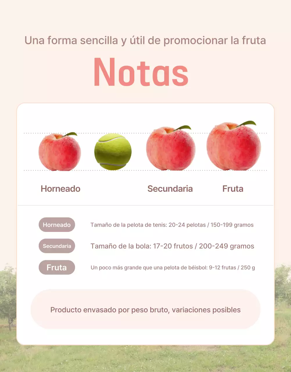 Promocionar el melocotón fresco amarillo y rosa con información y precauciones