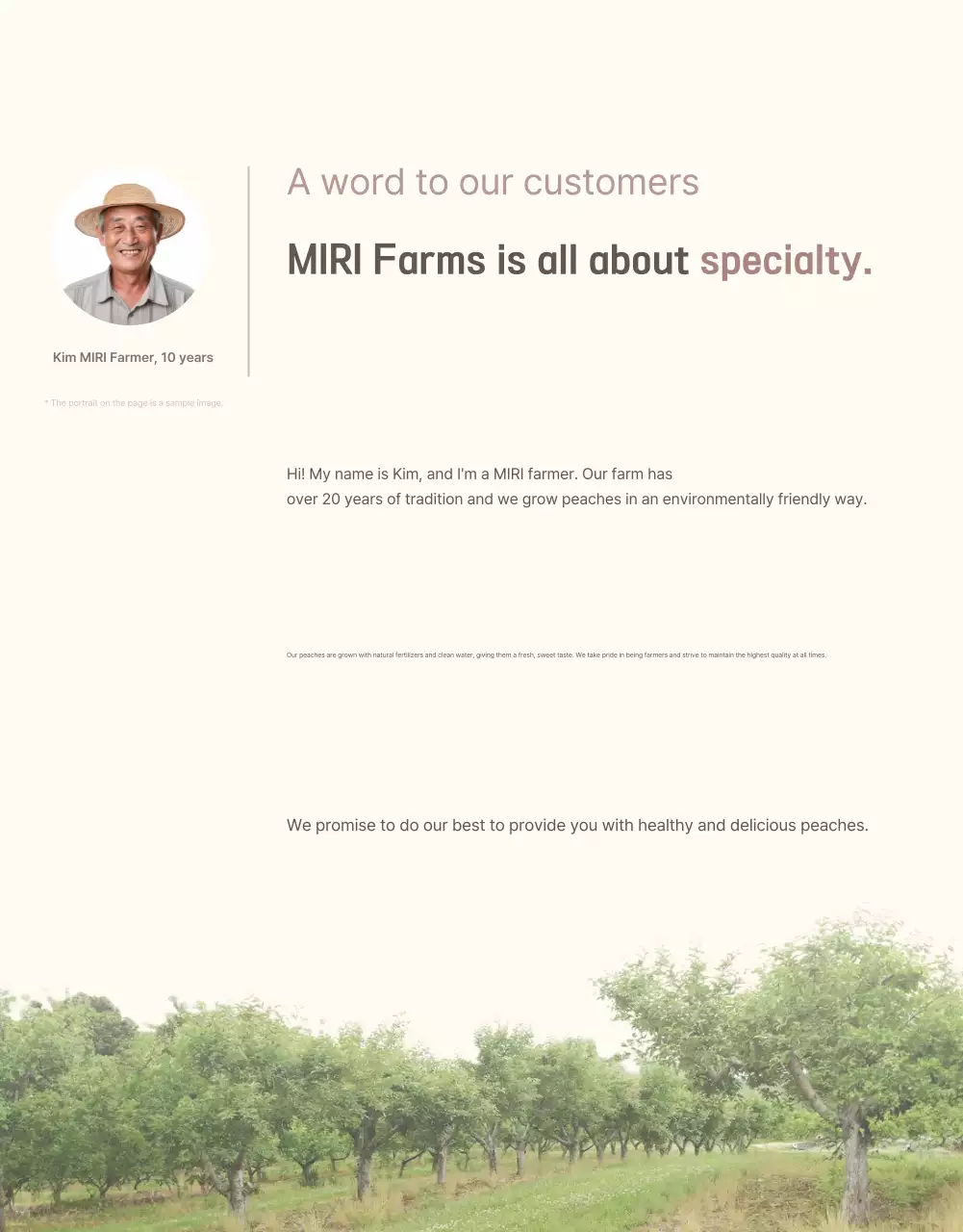 A clean, fresh peach intro in yellow and pink to promote sales