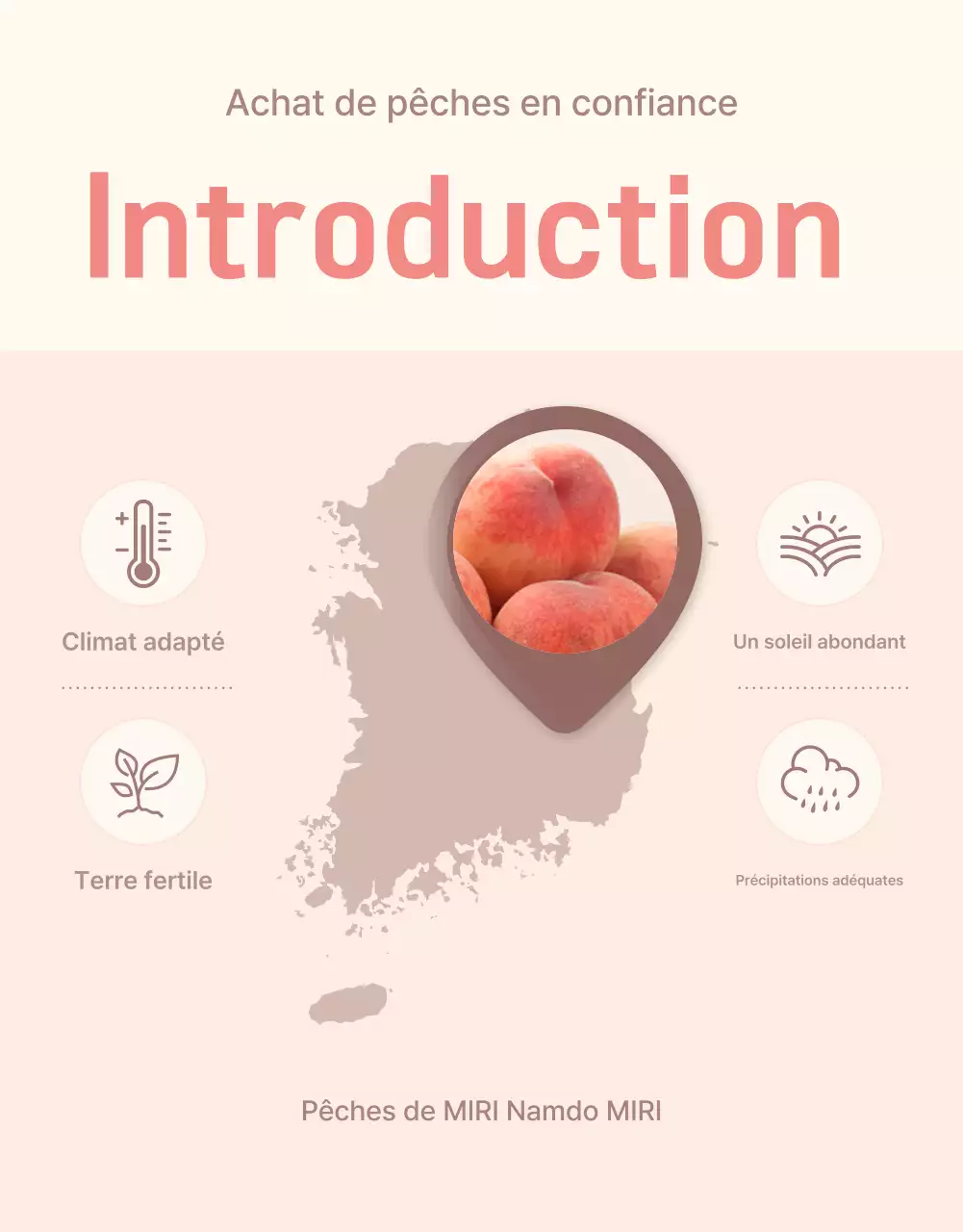 Une intro de pêche propre et rafraîchissante en jaune et rose pour promouvoir les ventes