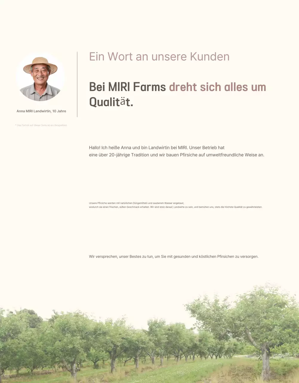 Ein sauberes, erfrischendes Pfirsich-Intro in Gelb und Rosa zur Verkaufsförderung