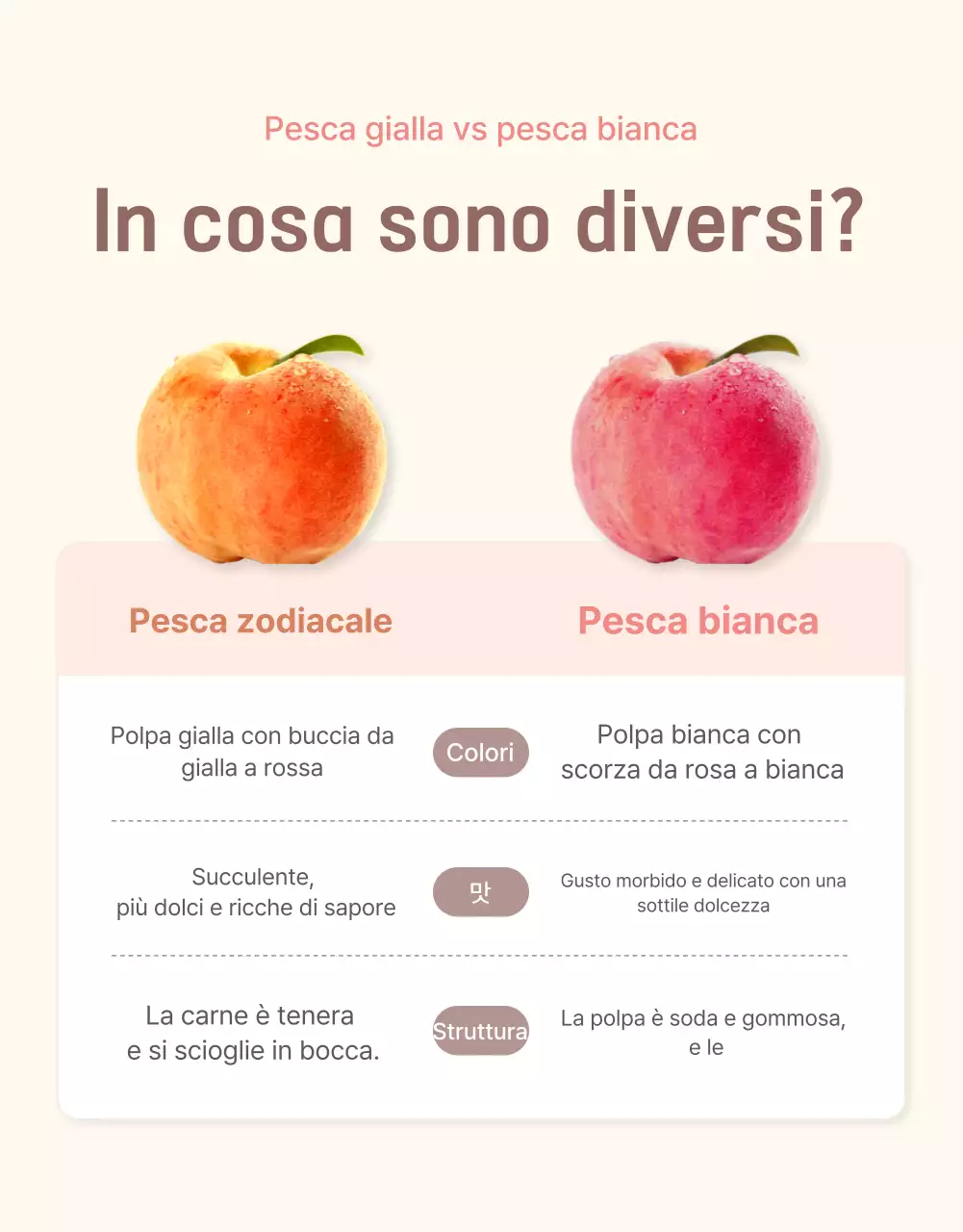 Promuovere la vendita di un punto di controllo della pesca fresca in giallo e rosa