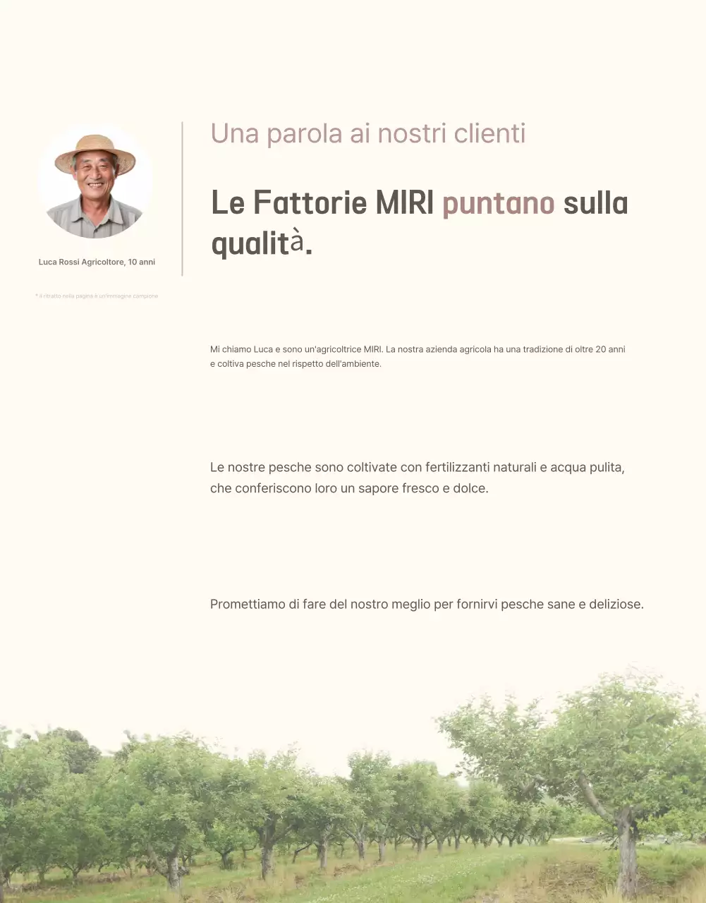 Un'introduzione pulita e rinfrescante alla pesca, in giallo e rosa, per promuovere le vendite.
