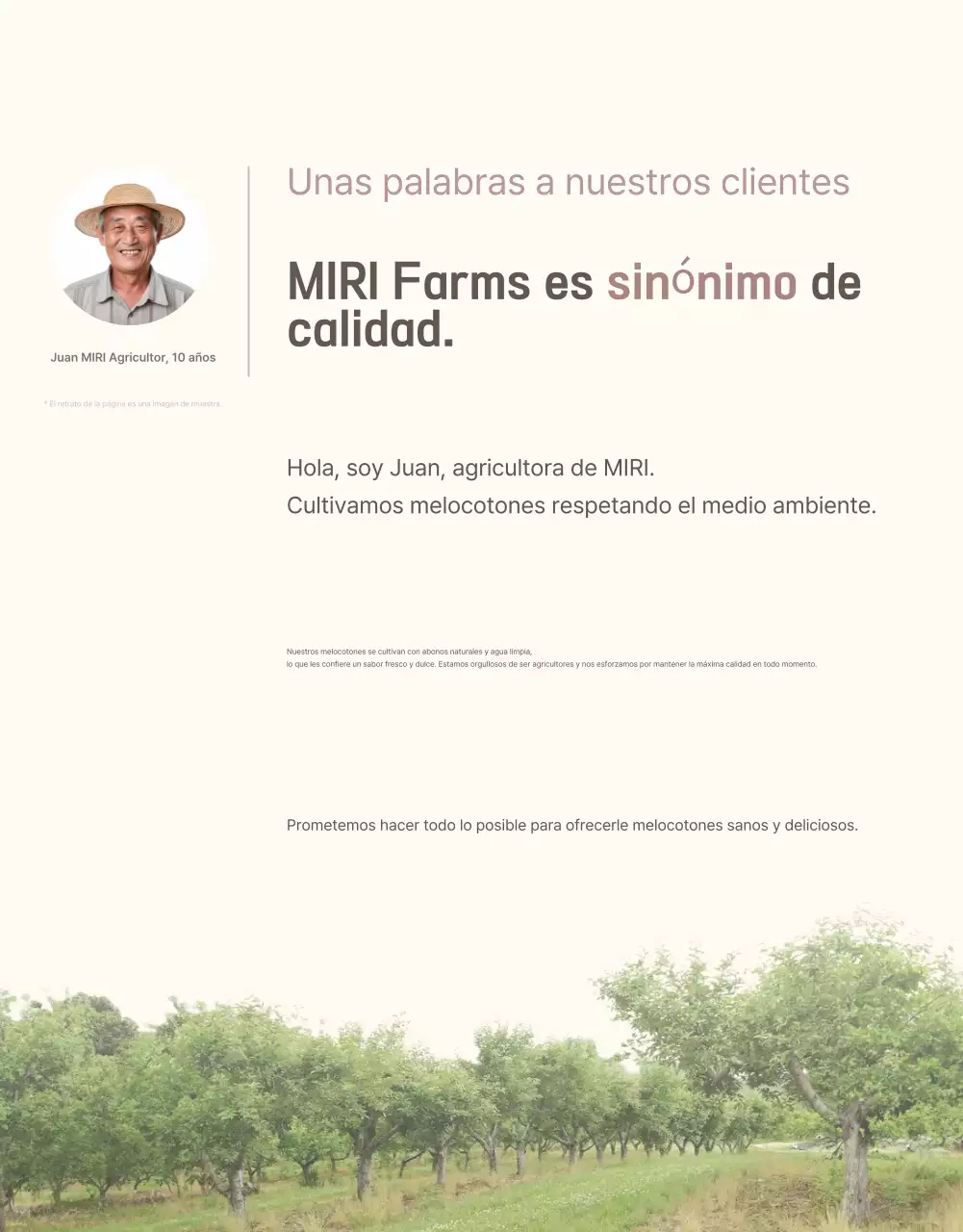 Una introducción de melocotón limpia y refrescante en amarillo y rosa para promover las ventas