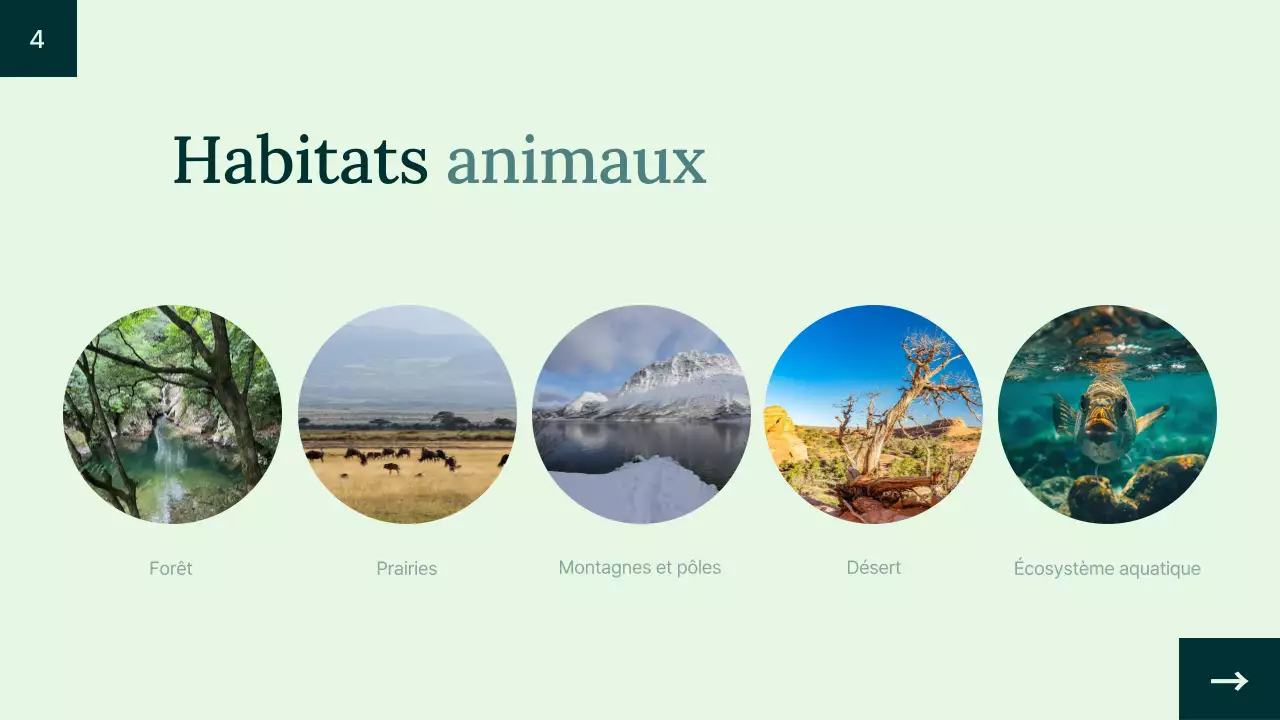Introduction à l'habitat animalier simple et vert