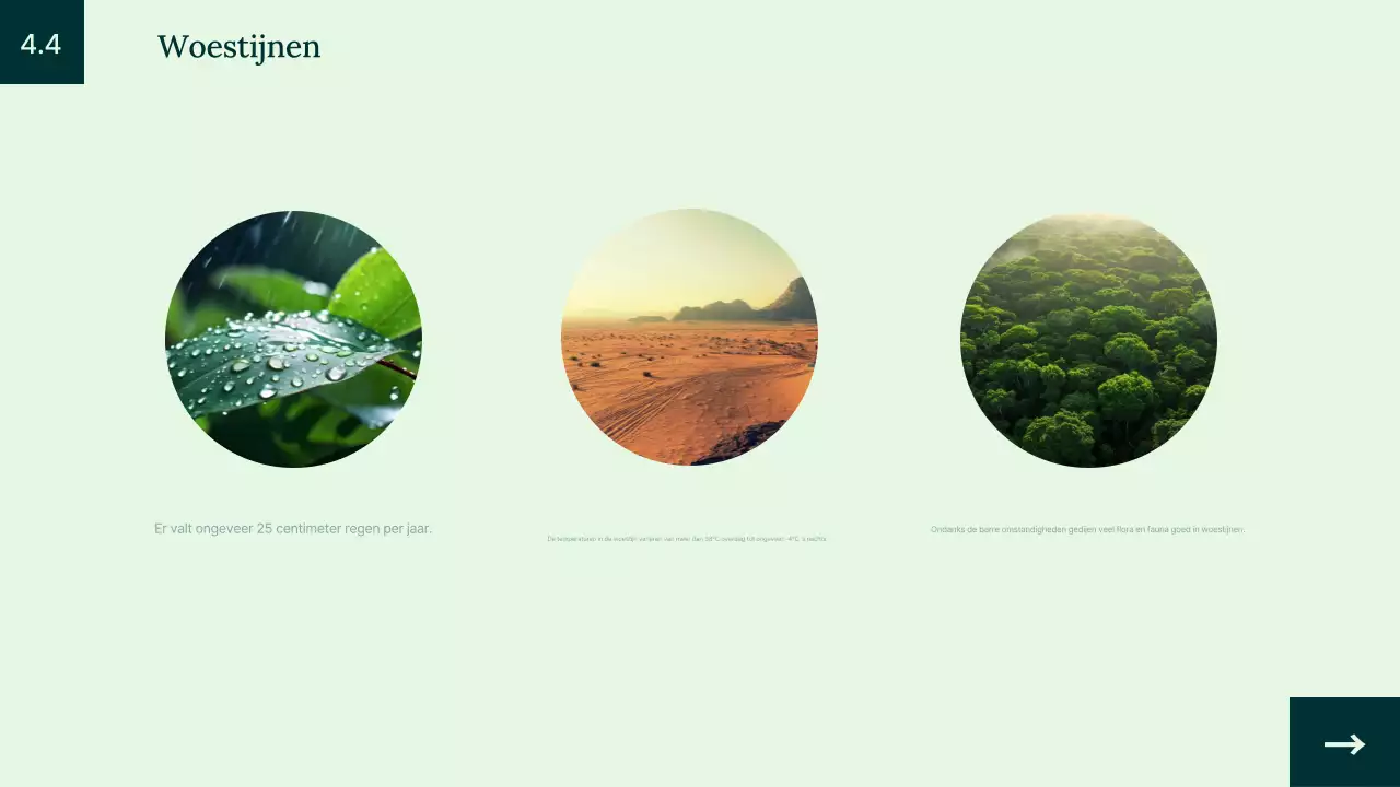 Introductie groene eenvoudige dierenhabitat