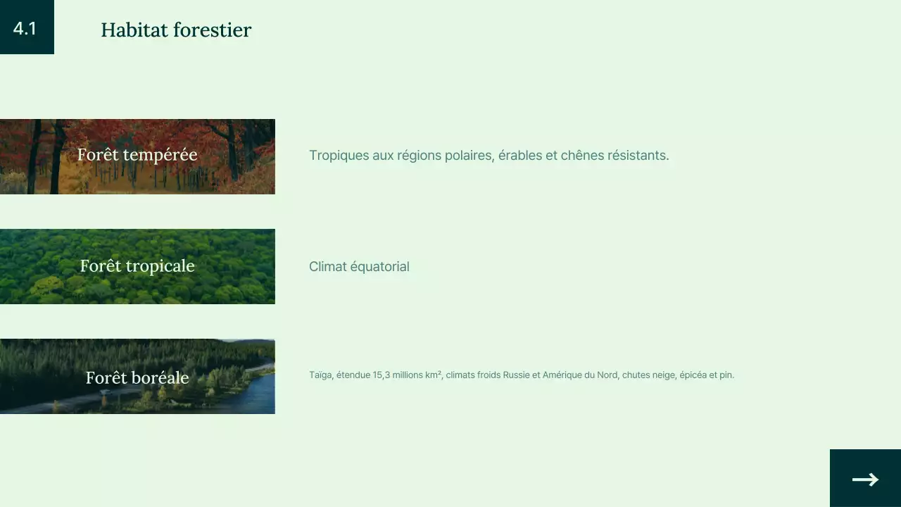 Introduction à l'habitat animalier simple et vert