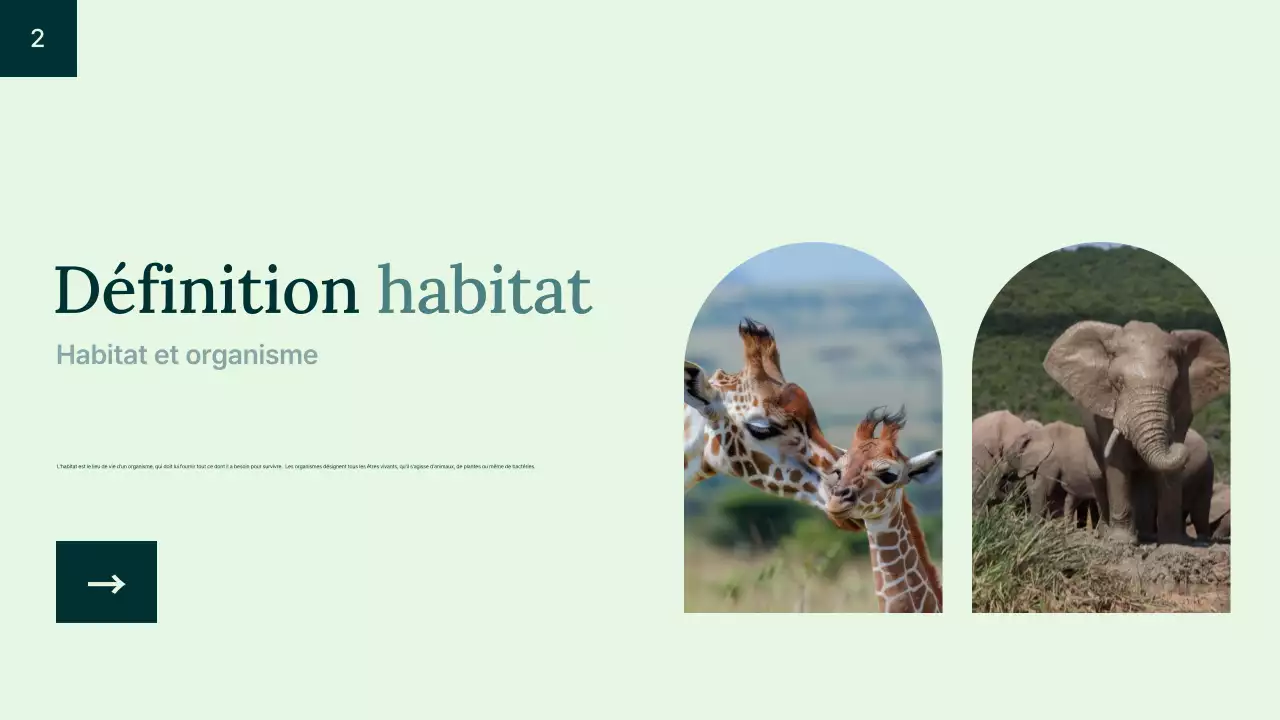 Introduction à l'habitat animalier simple et vert