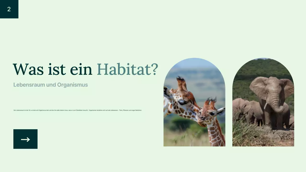 Grüner einfacher Lebensraum für Tiere Einführung