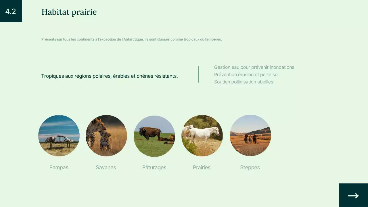 Introduction à l'habitat animalier simple et vert
