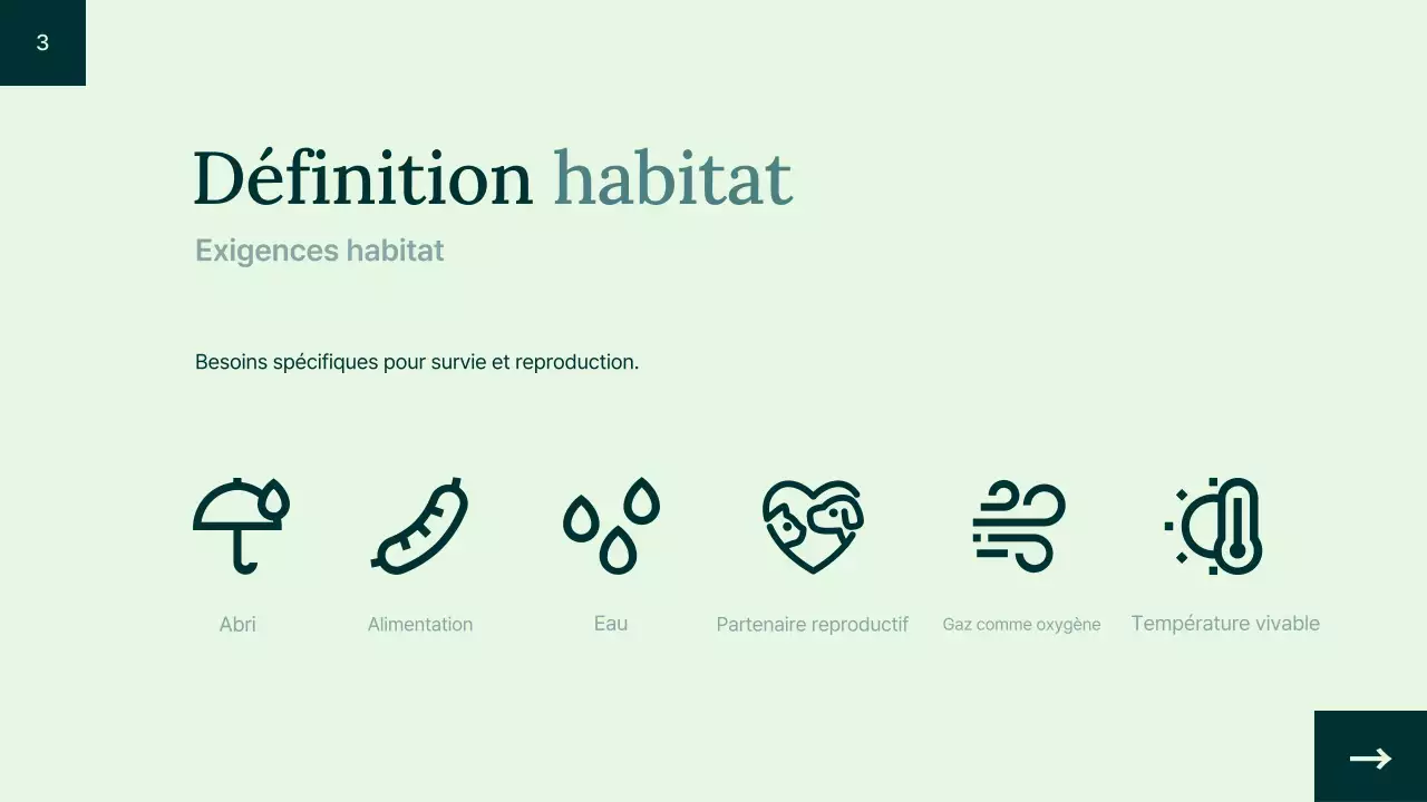 Introduction à l'habitat animalier simple et vert