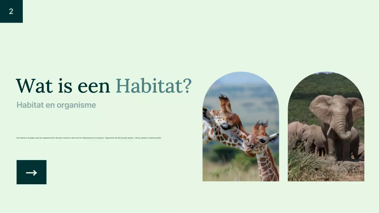 Introductie groene eenvoudige dierenhabitat