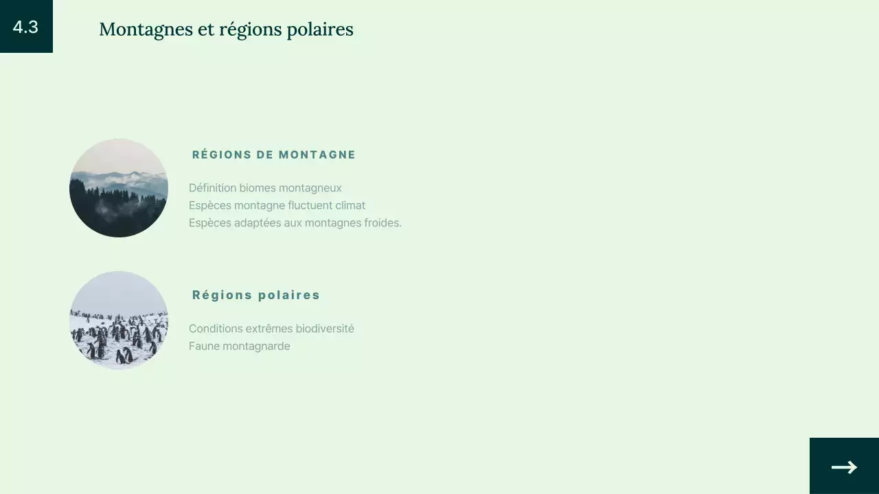 Introduction à l'habitat animalier simple et vert