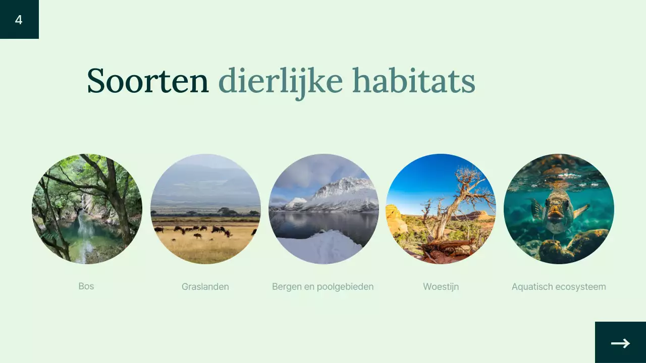 Introductie groene eenvoudige dierenhabitat