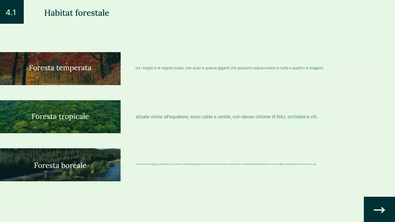 Introduzione all'habitat animale verde semplice