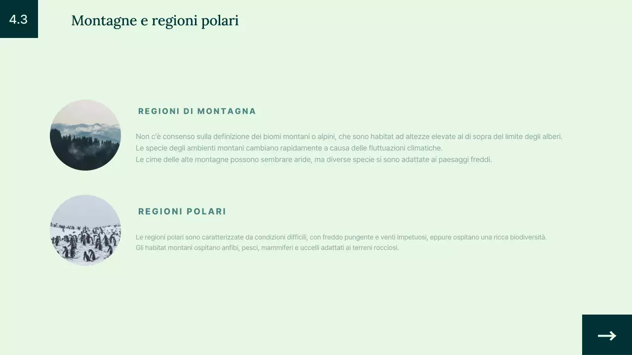 Introduzione all'habitat animale verde semplice